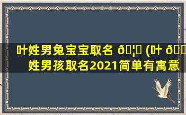 叶姓男兔宝宝取名 🦉 (叶 🐋 姓男孩取名2021简单有寓意)